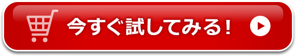 今すぐ試してみる！