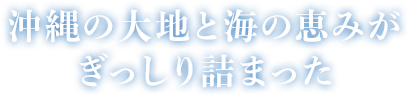 沖縄の大地と海の恵みがぎっしり詰まった