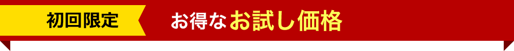 初回限定 お得なお試し価格