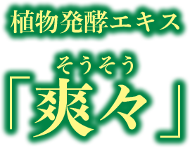 植物発酵エキス「爽々」